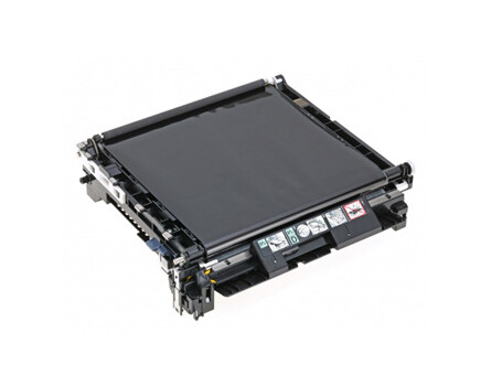 Epson C13S053024, pas transferowy