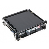 Epson C13S053024, pas transferowy