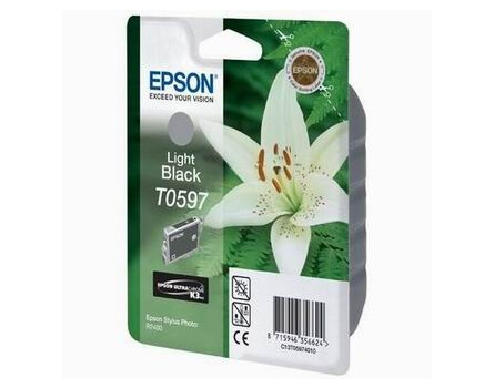 Wkład atramentowy Epson Stylus Photo R2400, C13T059740, światło czarny, 1 * 13 ml,